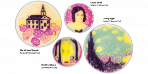 Four petri dishes containing artistic renderings of the Kirtland temple, the portrait of Emma Smith, the First Vision, and Van Gogh's “Starry Night.” Images were painted using dark purple, bright pink, turquoise, and yellow bacteria.