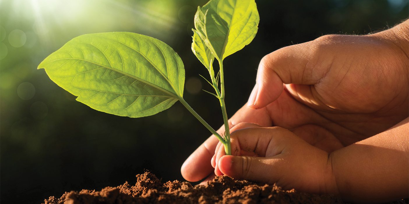 An adult and child plant a plant in the ground.