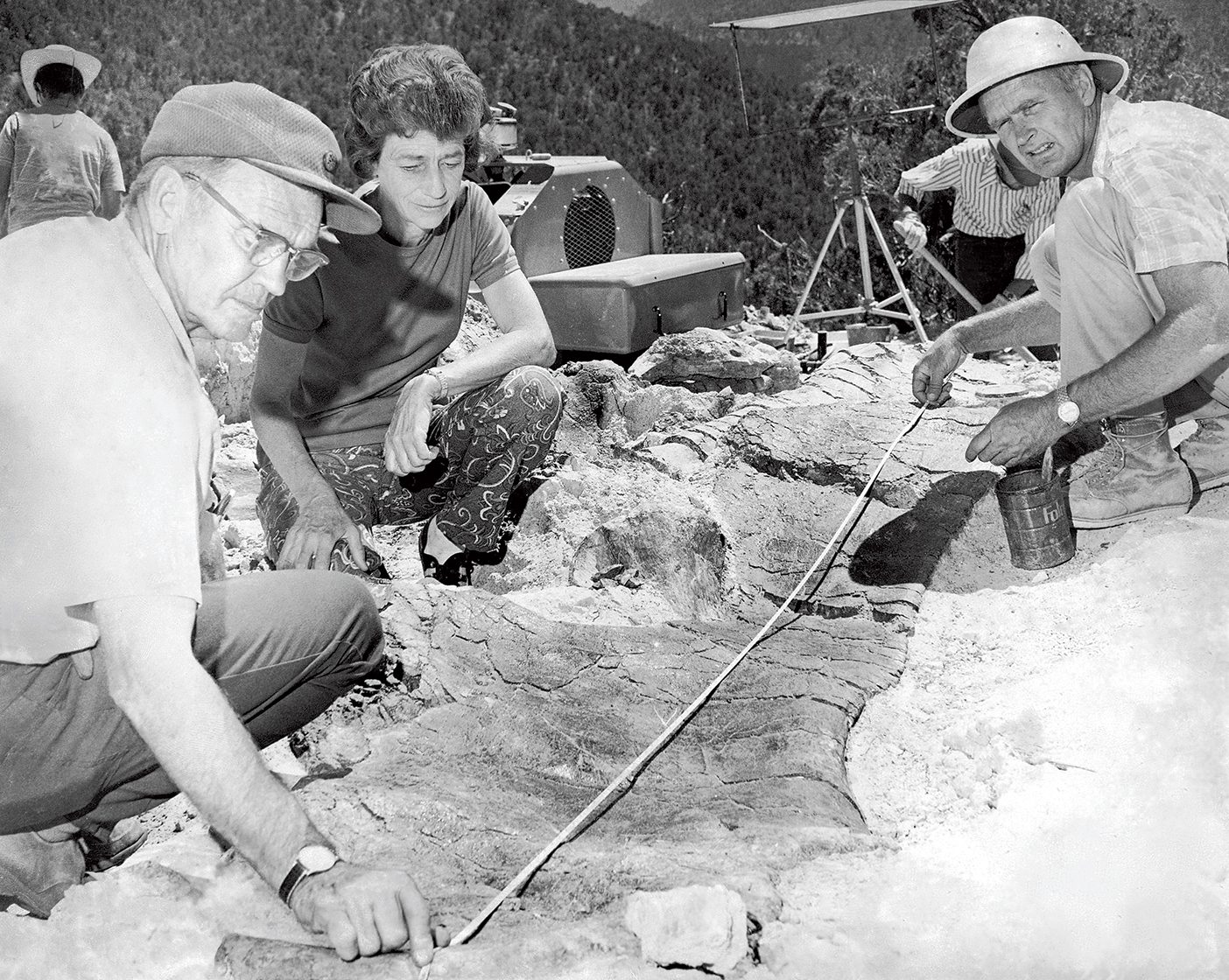 An archival photo from 1972 of Dinosaur Jim Jensen and other BYU paleontologists measure a large fossil.