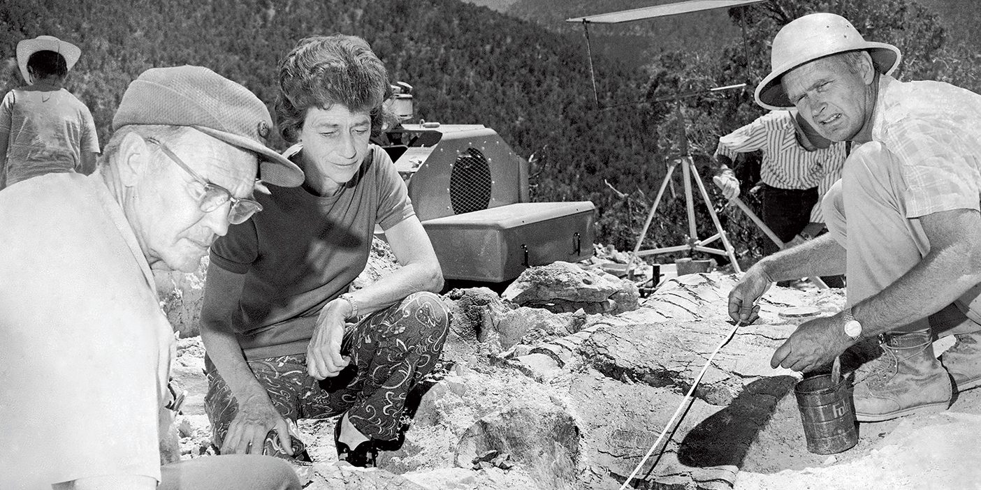 An archival photo from 1972 of Dinosaur Jim Jensen and other BYU paleontologists measure a large fossil.