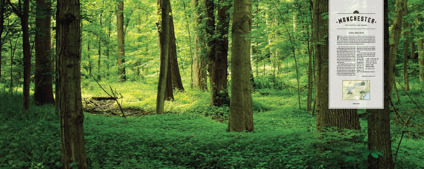 The Sacred Grove in Manchester, New York, in the spring.