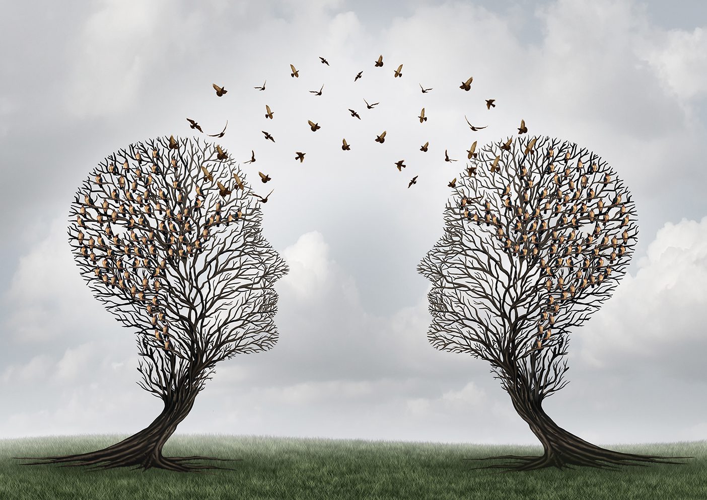 Illustration of two trees shaped like human heads with birds flying between them.
