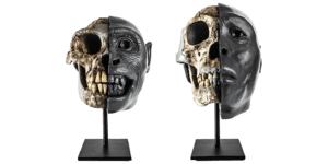 Two ancient skull replicas sit side by side on stands. The left side of their faces, each with a unique expression, is sculpted out of clay and painted dark gray.