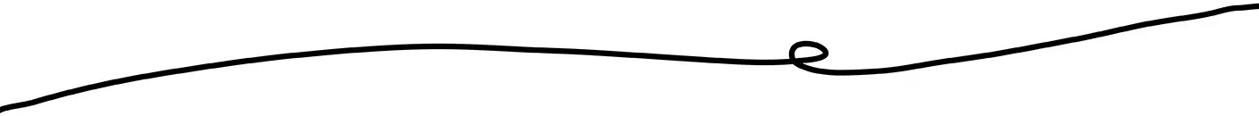 A drawing of a line with a small loop in it, representing the untangling of life with essentialism.