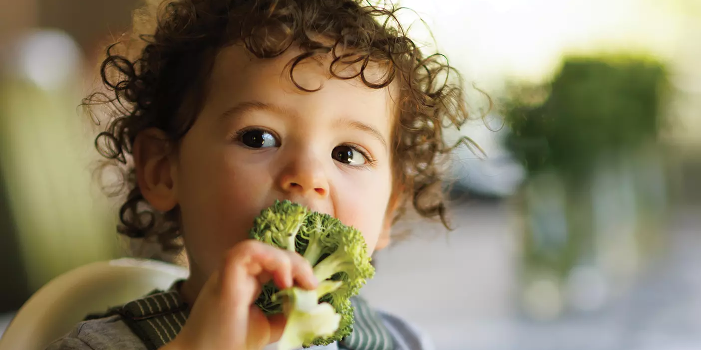 A toddler with curly brown hair sits in his high chair and bites into a green stalk of broccoli. An abandoned swirl sucker has been set to the side.