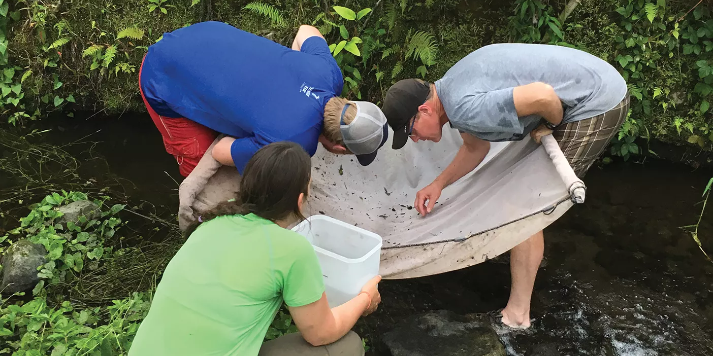 BYU biologist Jerry Johnson doing research with students in a river in Costa Rica.