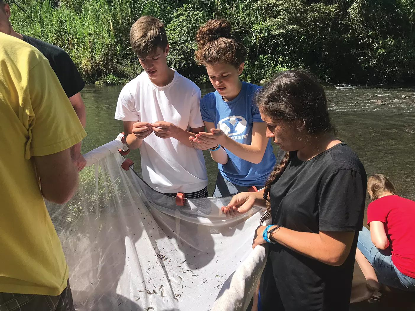 BYU students gather data on fish in Costa Rica.