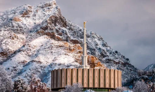 importance of the presentation in the temple