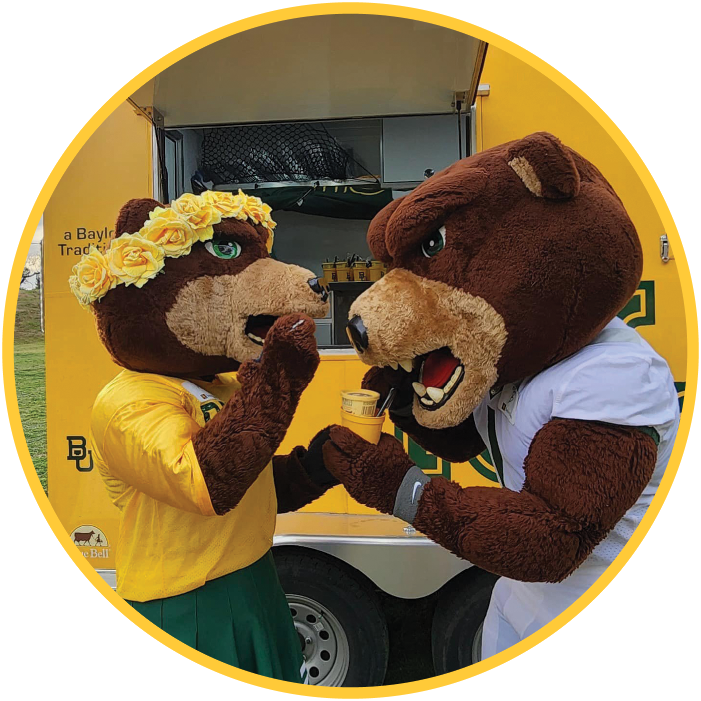 Bruiser and Marigold at Baylor University