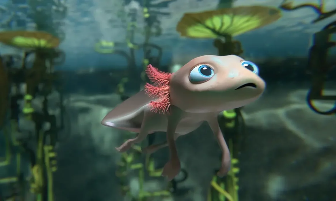 Young axolotl gazing up at the surface of a water-filled sinkhole.