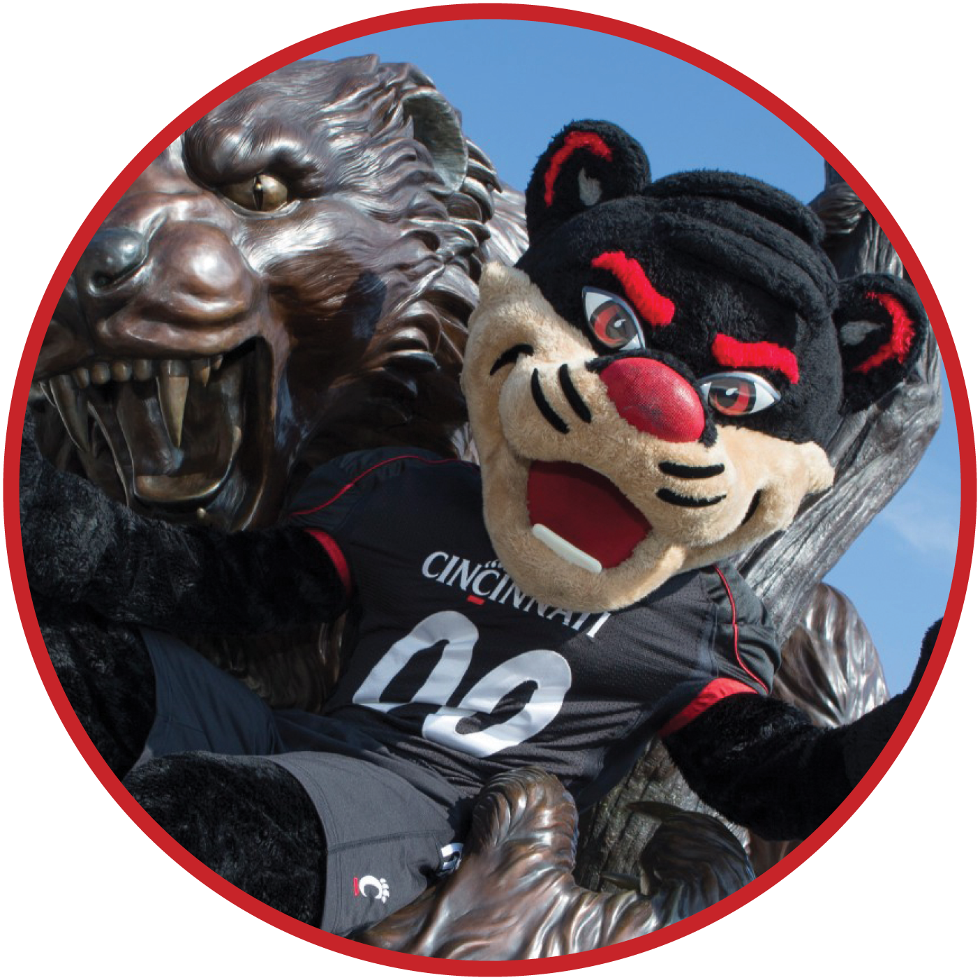 The bearcat mascot at University of Cincinnati