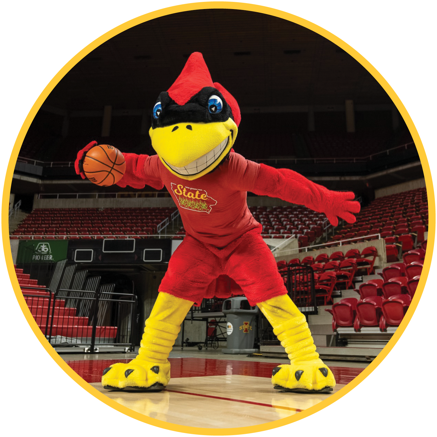 Cy the Cardinal at Iowa State University