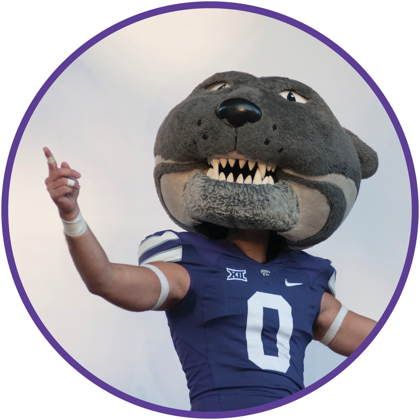Willie the Wildcat, Kansas State University's mascot
