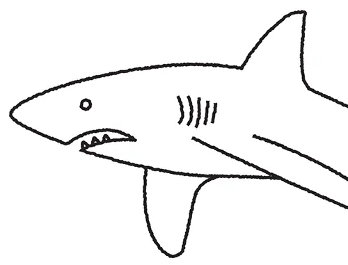 Line illustration of a shark.