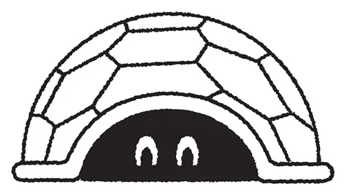 Line illustration of a turtle.