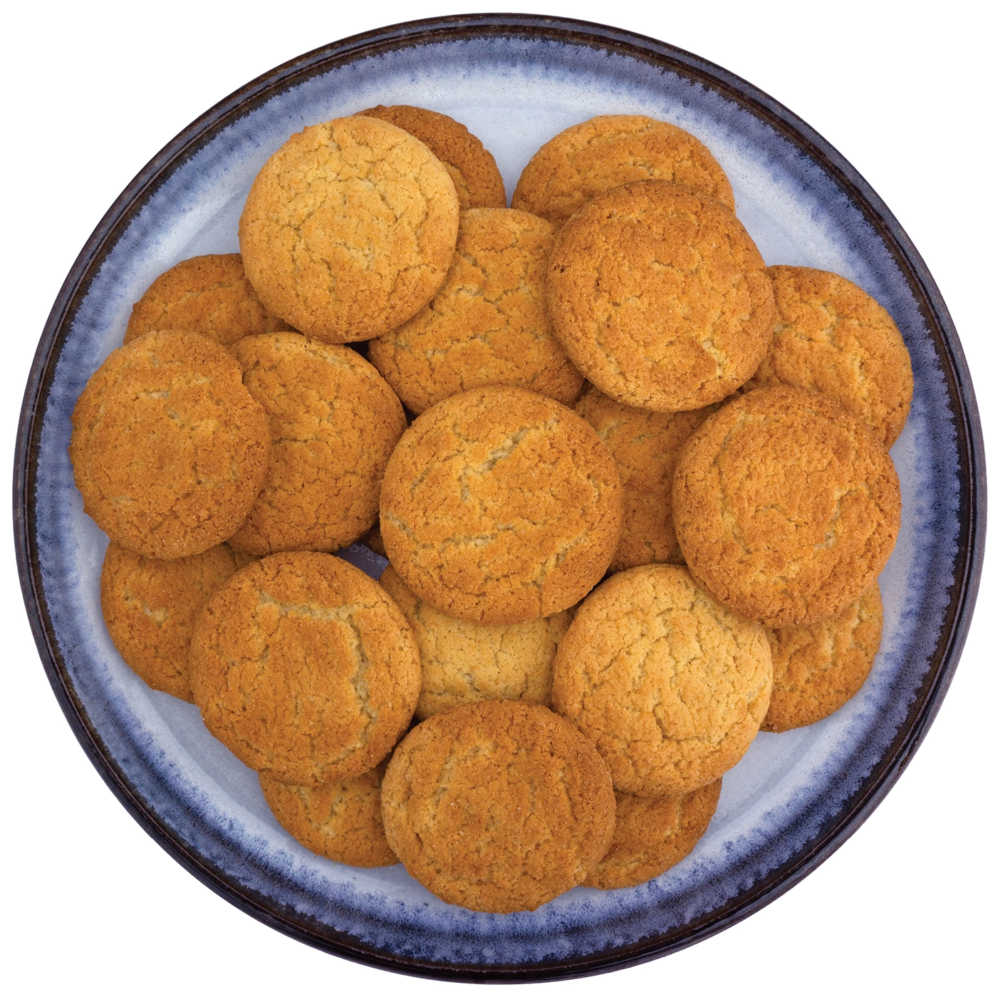 A plate of snickerdoodle cookies.