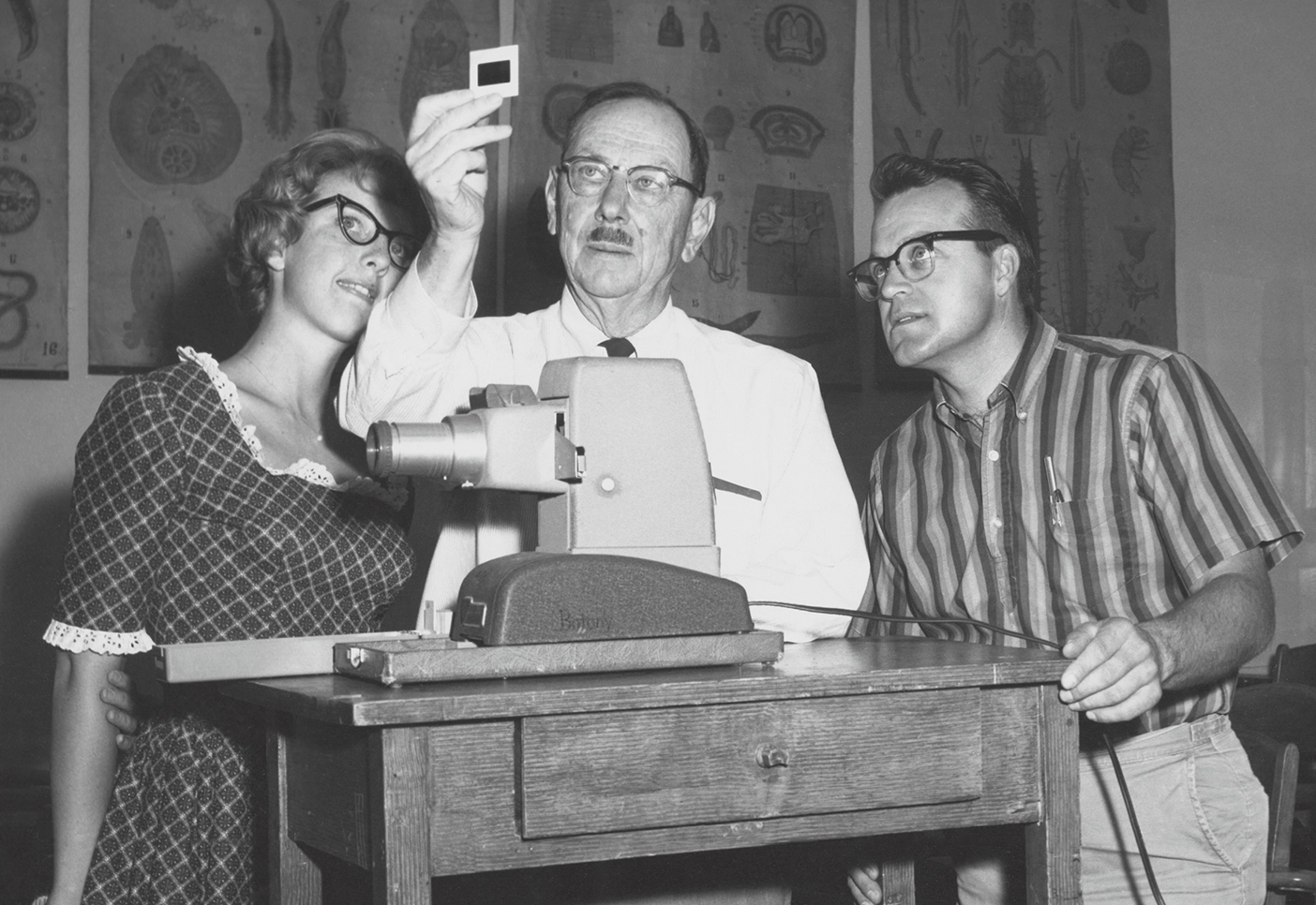 Professor and students look at a slide with frog vertebrae on it.
