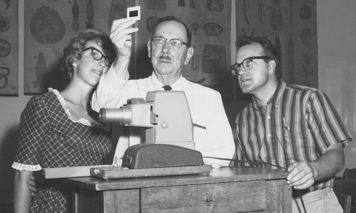 Professor and students look at a slide with frog legs on it.