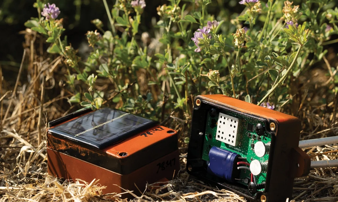 Smart bluetooth stakes in among crops.