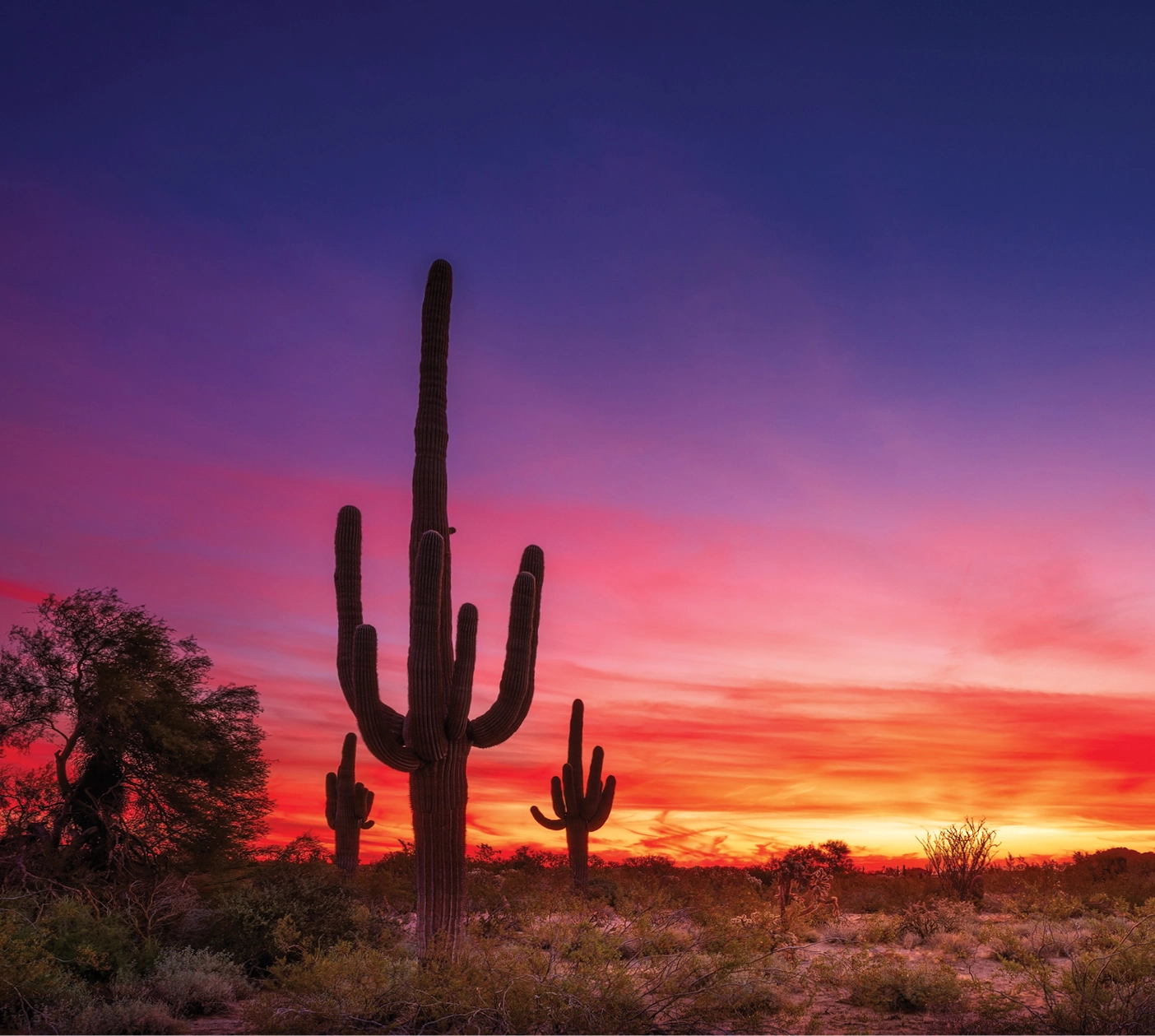 A southwest scene with cacti and a beautiful Arizona sunset.