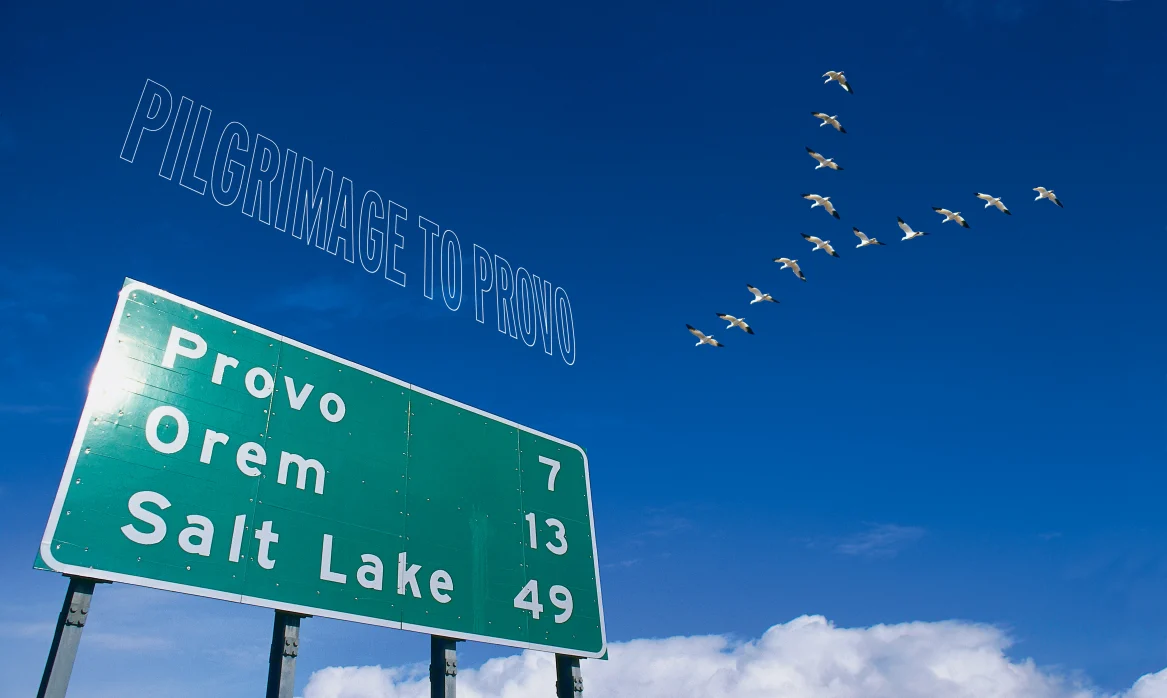 Green highway sign pointing toward Provo, Orem, and Salt Lake beneath the title “Pilgrimage to Provo.” Page 39: A flock of white birds flies in a broad curved formation across a deep blue sky above white clouds.
