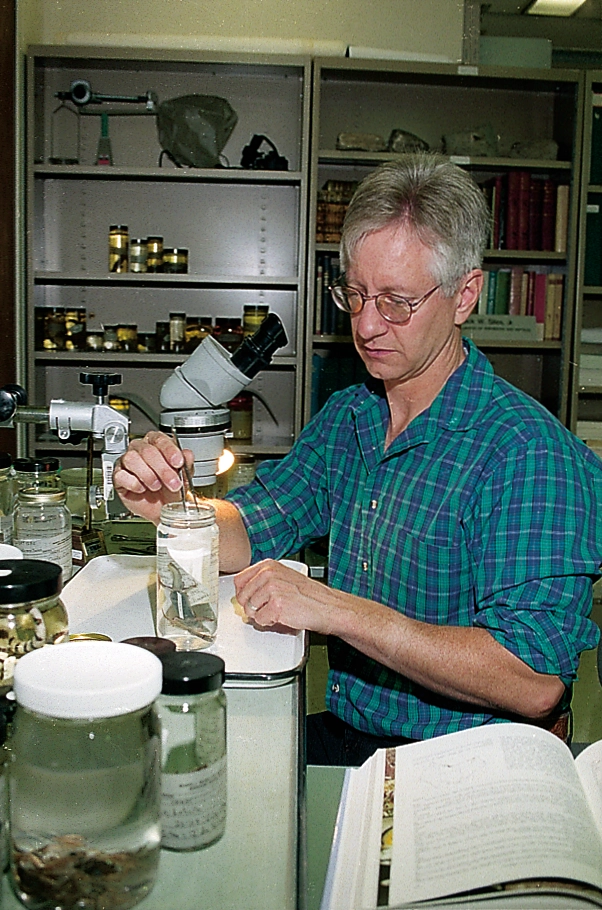 A scientist in a laboratory examines preserved specimens in glass containers beside a microscope.