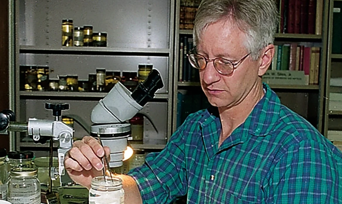 A scientist in a laboratory examines preserved specimens in glass containers beside a microscope.
